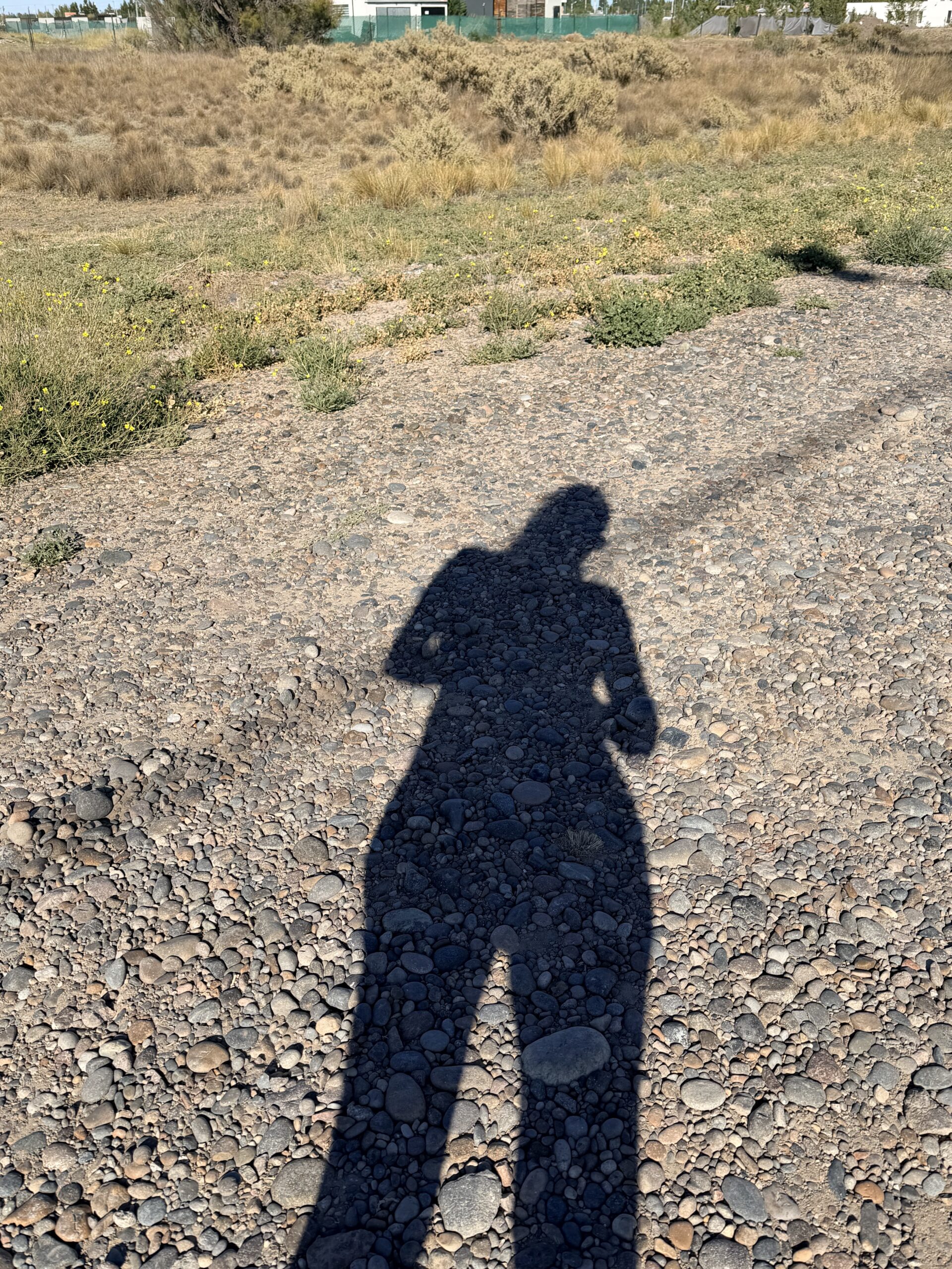 Two globes on stands against a white background, showcasing minimalist design.