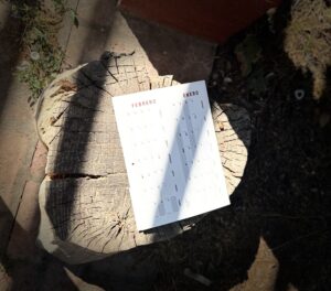 new year background, organizer, calendar, schedule, appointments, diary, notes, planner, still life, notebook, notepad, desk, open